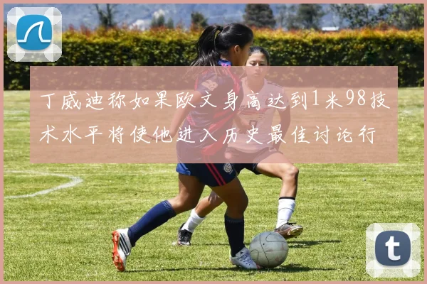 丁威迪称如果欧文身高达到1米98技术水平将使他进入历史最佳讨论行列